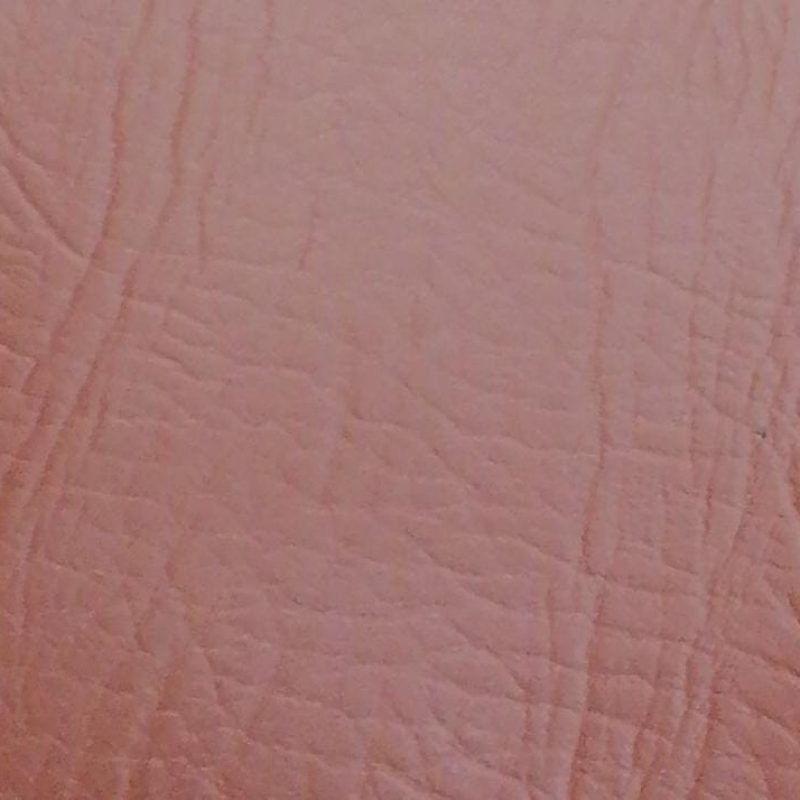 WhatsApp Image 2024-02-27 at 12.06.57