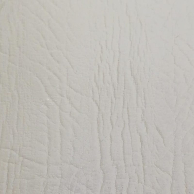 WhatsApp Image 2024-02-27 at 13.47.33